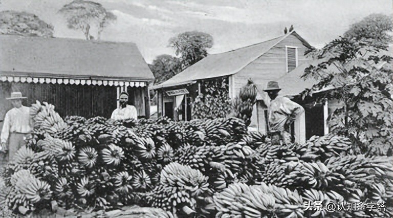 阿根廷贵族公子，如何变身红色英雄？全世界闹革命，结局如何？