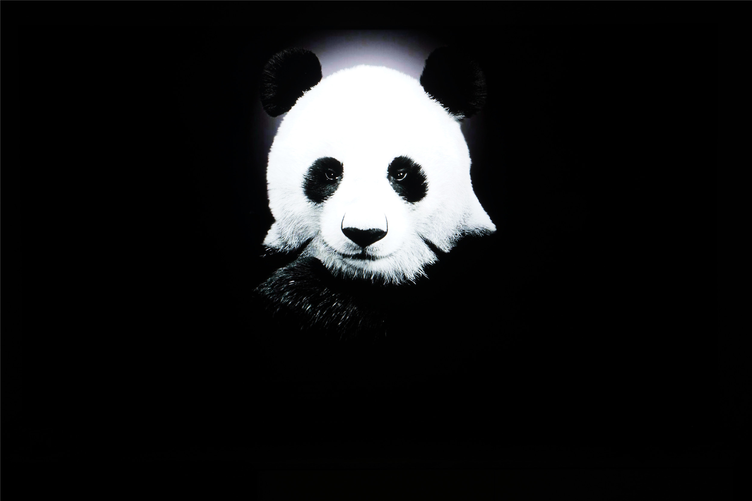 如何评价tclx11g电视,tclx11qd-miniled电视测评