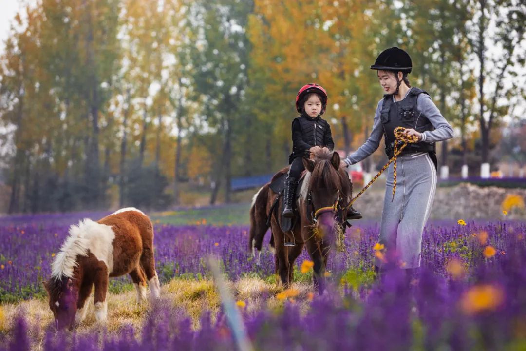 沂蒙乡村振兴学习感悟,乡村振兴看沂蒙专题