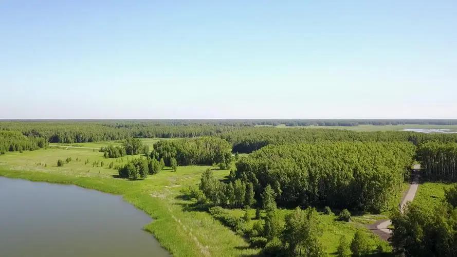 俄罗斯1亿多人口为什么这么强,俄罗斯为什么人口可以达到10亿