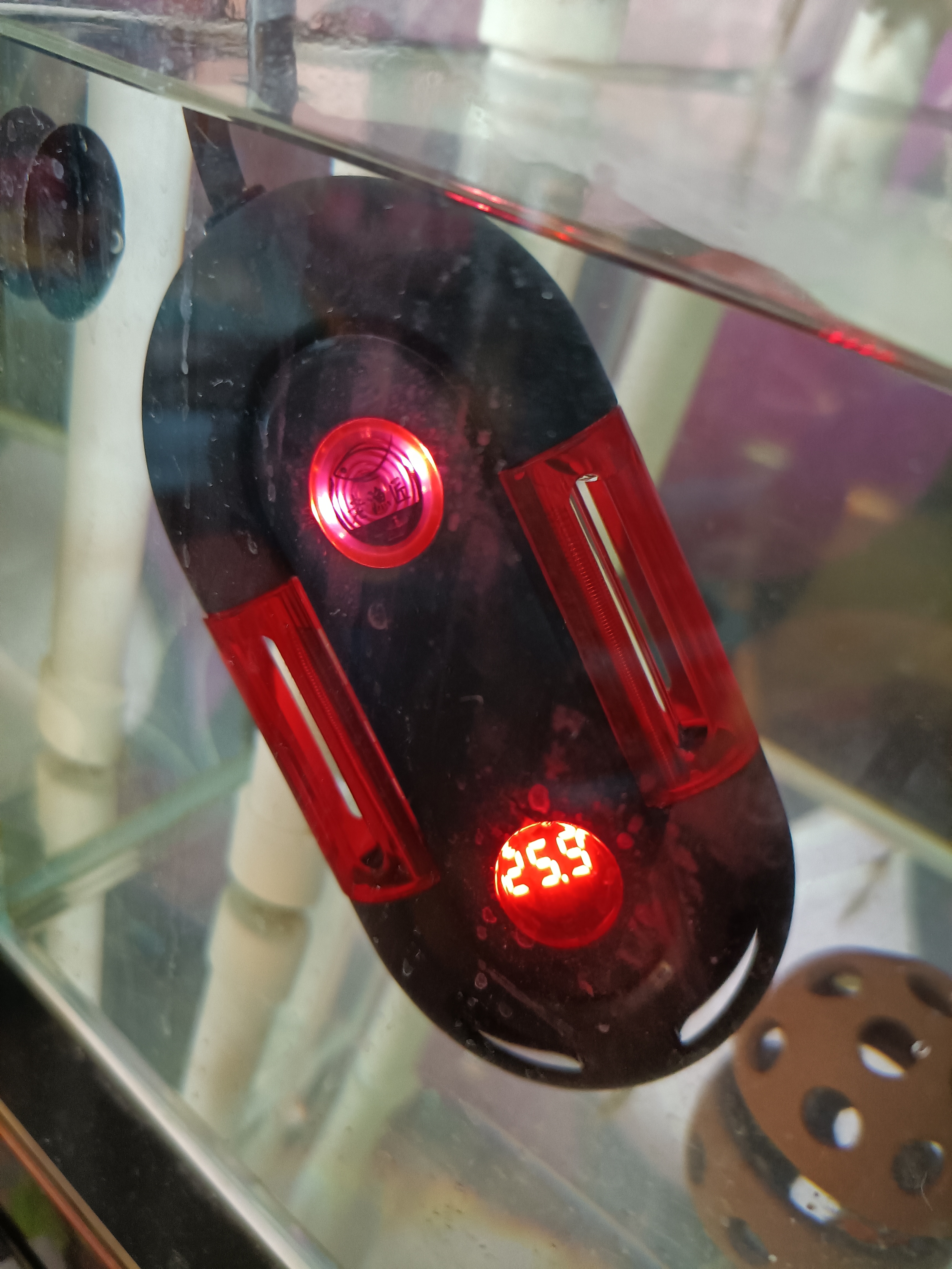 养乌龟新手推荐,龟用品