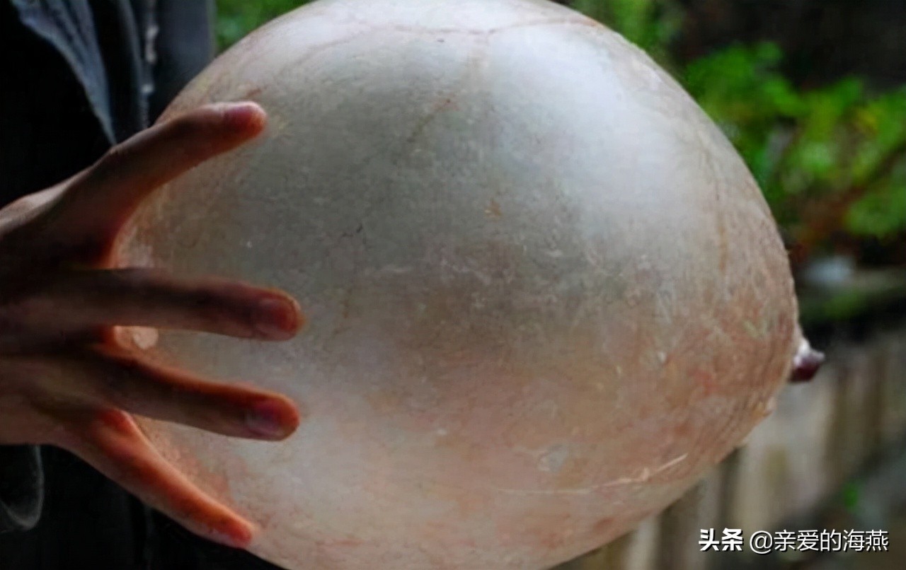 中班益智区自制玩具100例简单,童年玩具7080后的回忆自制