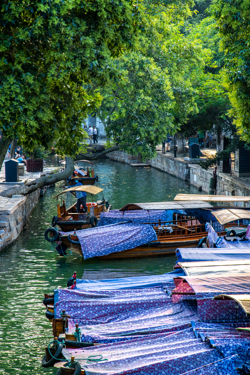 同里古镇为什么叫东方威尼斯,苏州水乡古镇同里