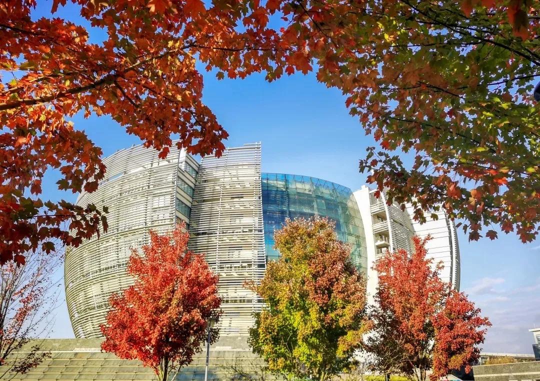 苏州大学最美校园,中国最美十大校园之一的苏州大学