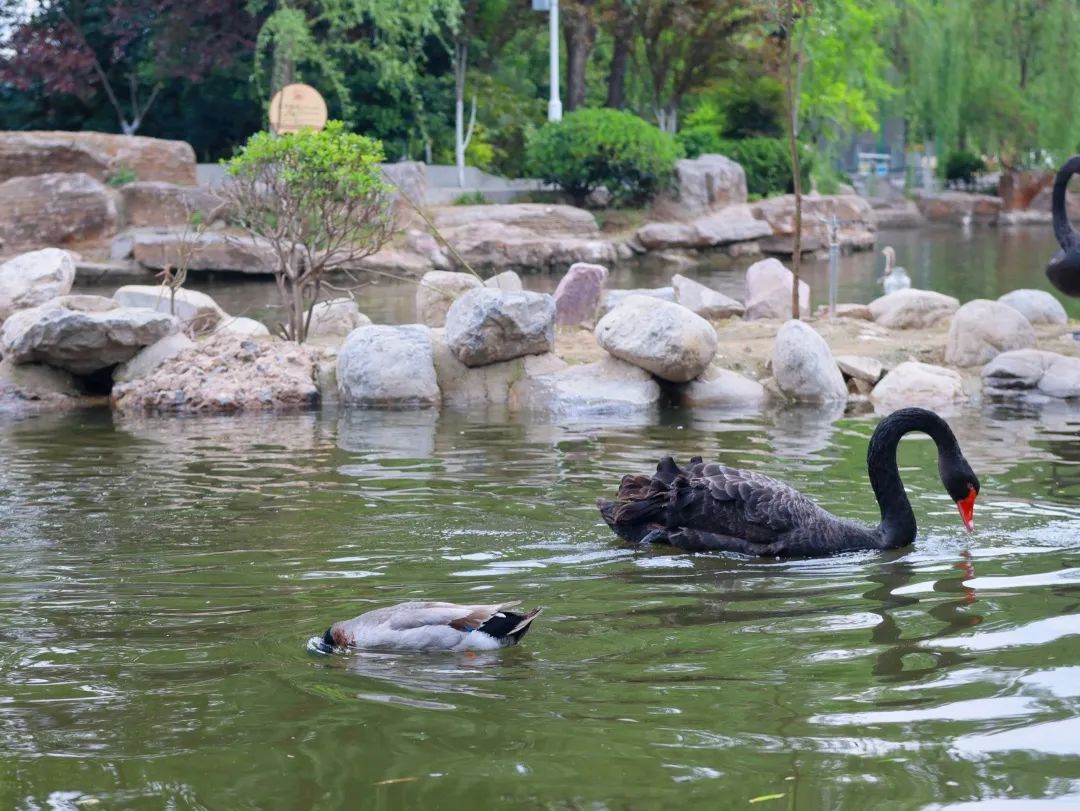 郑州地铁一号线由东向西游玩攻略,郑州2号线地铁游玩打卡攻略