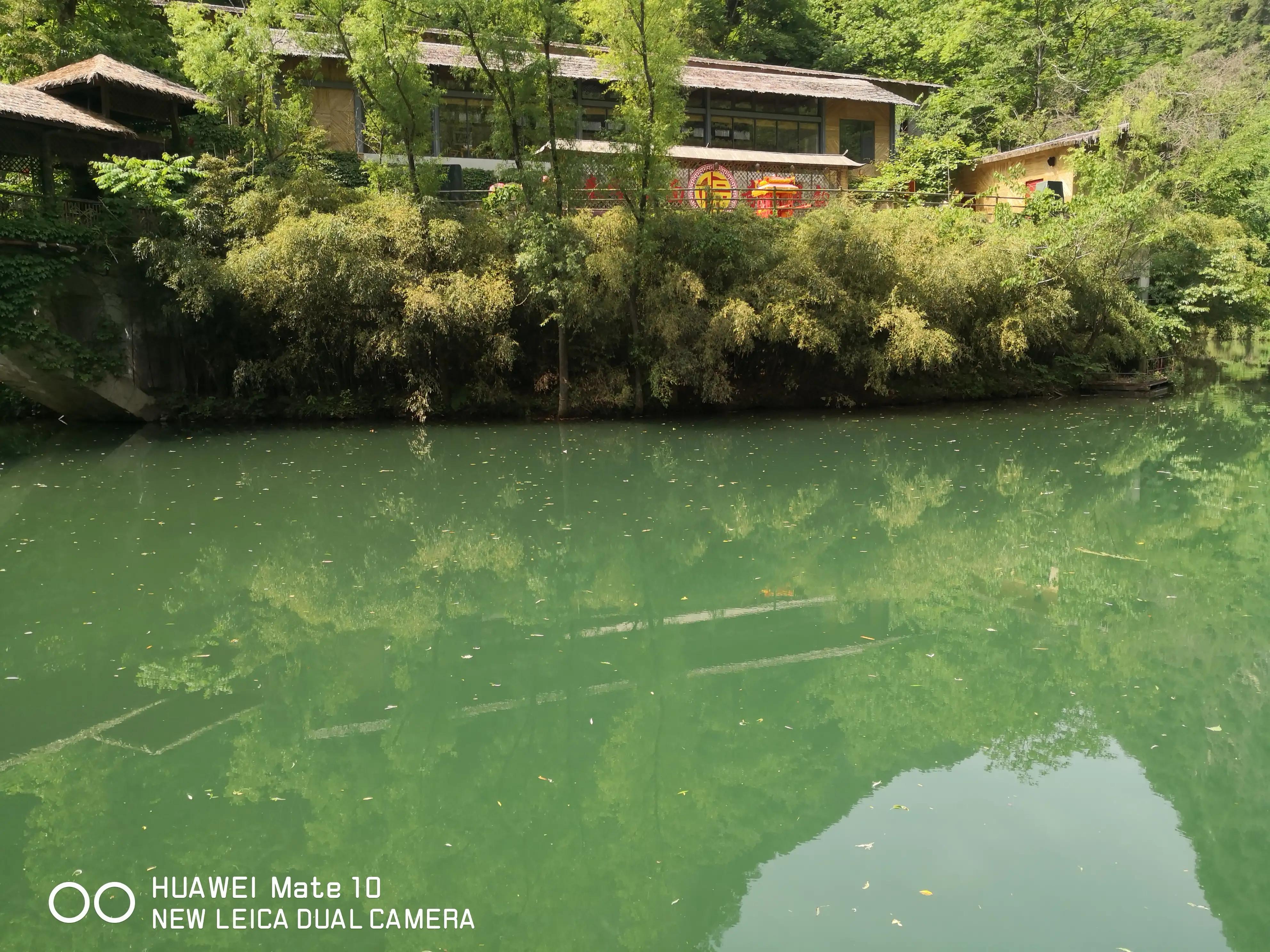 大秦岭的封面—金丝峽