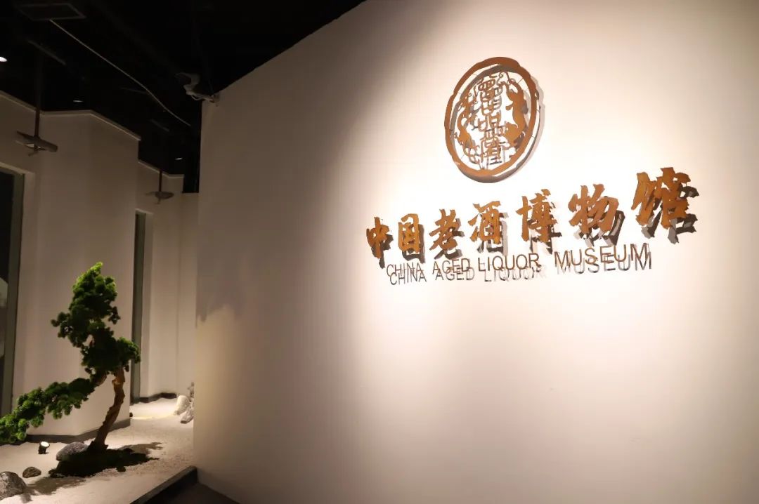 中国老酒收藏第一人曾宇老师,曾宇收藏酒老视频