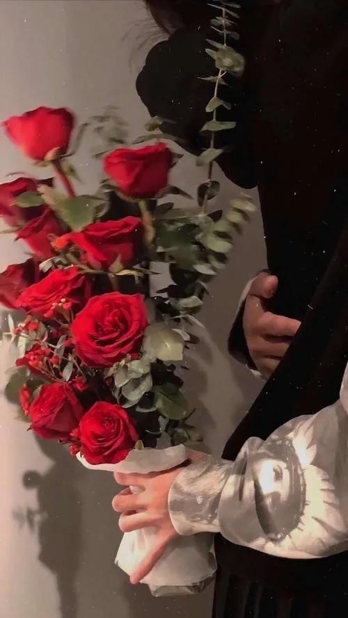 520浪漫玫瑰花壁纸,红玫瑰花壁纸大图