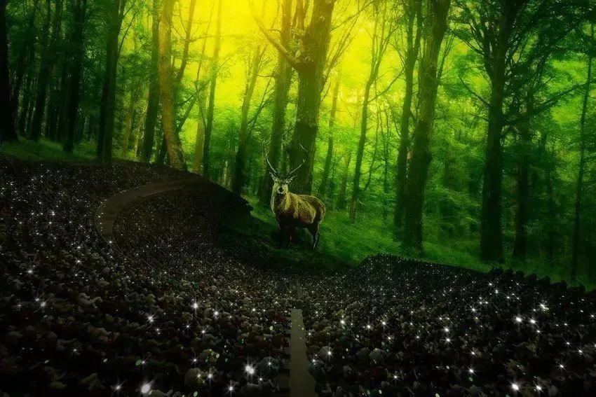 全球沉浸式场景体验,沉浸式体验项目