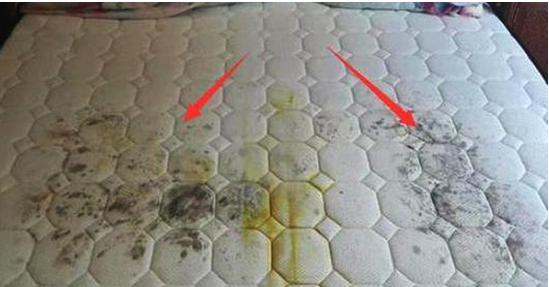 最权威床上螨虫最好的消除方法,怎么判断床上有螨虫教你正确方法