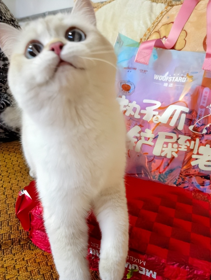 猫冻干粮评测,猫冻干测评推荐图文