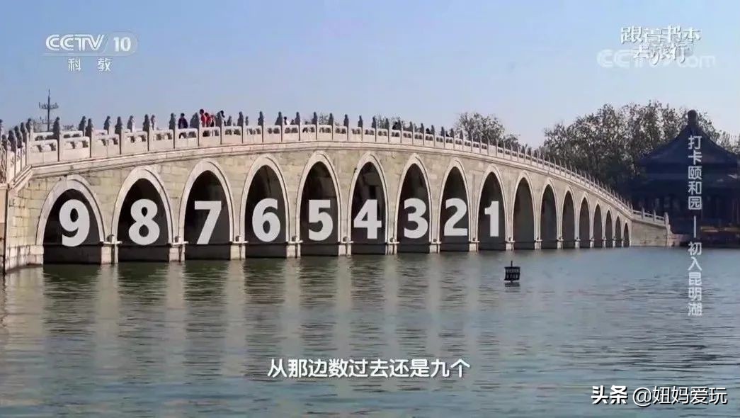 带你真切看人间的宝藏纪录片top10,十一长假适合带孩子看的纪录片