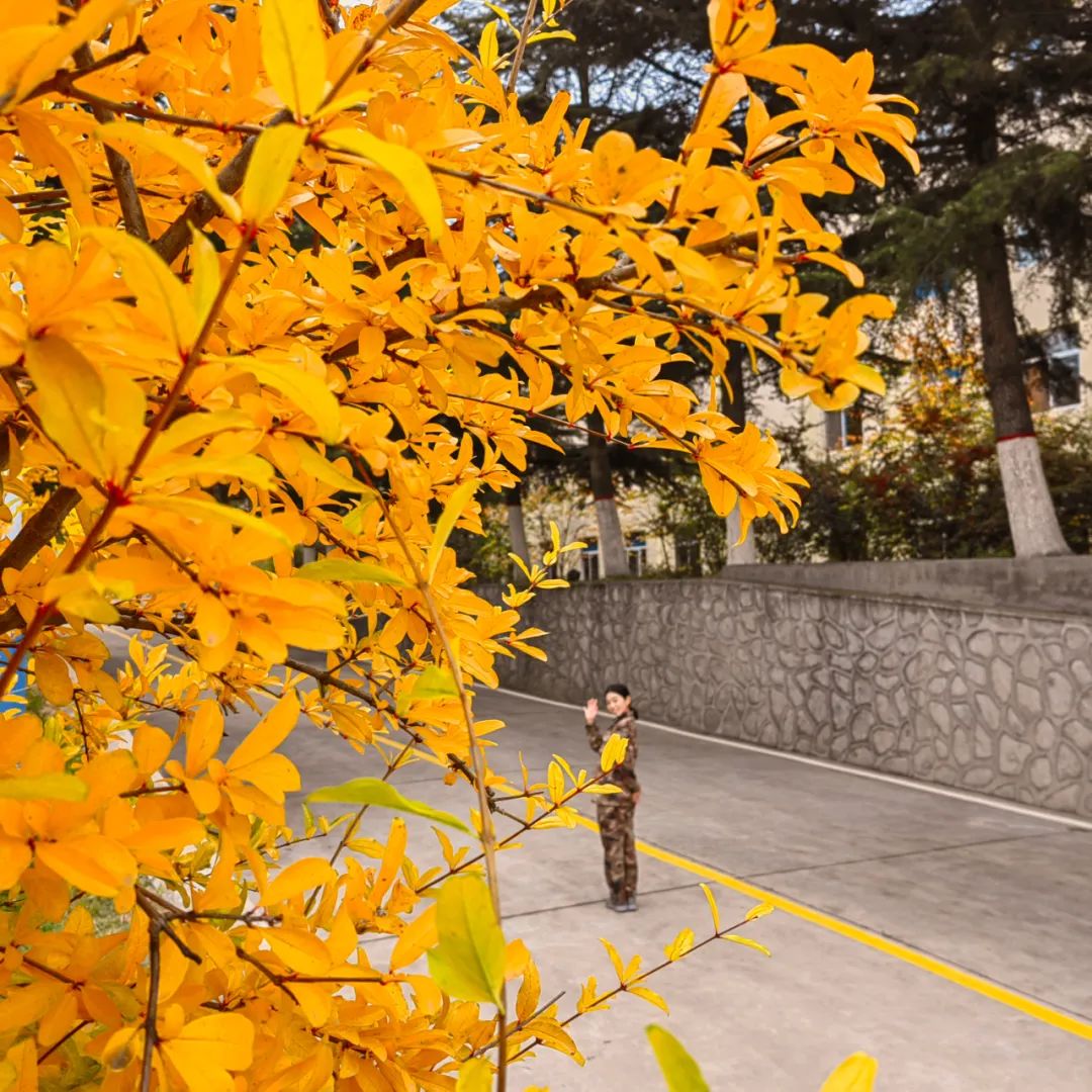 秋天军营风景,军营秋天