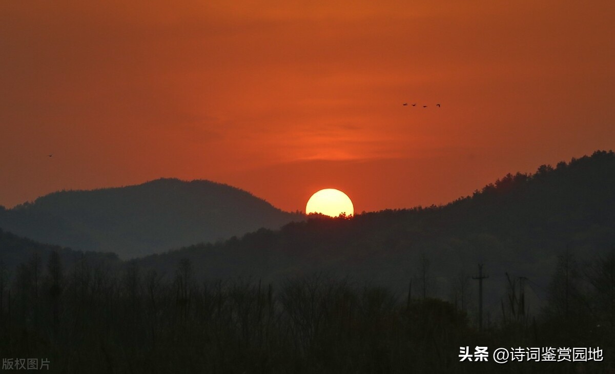 李清照晚年愁苦的原因,对李清照一生的总结