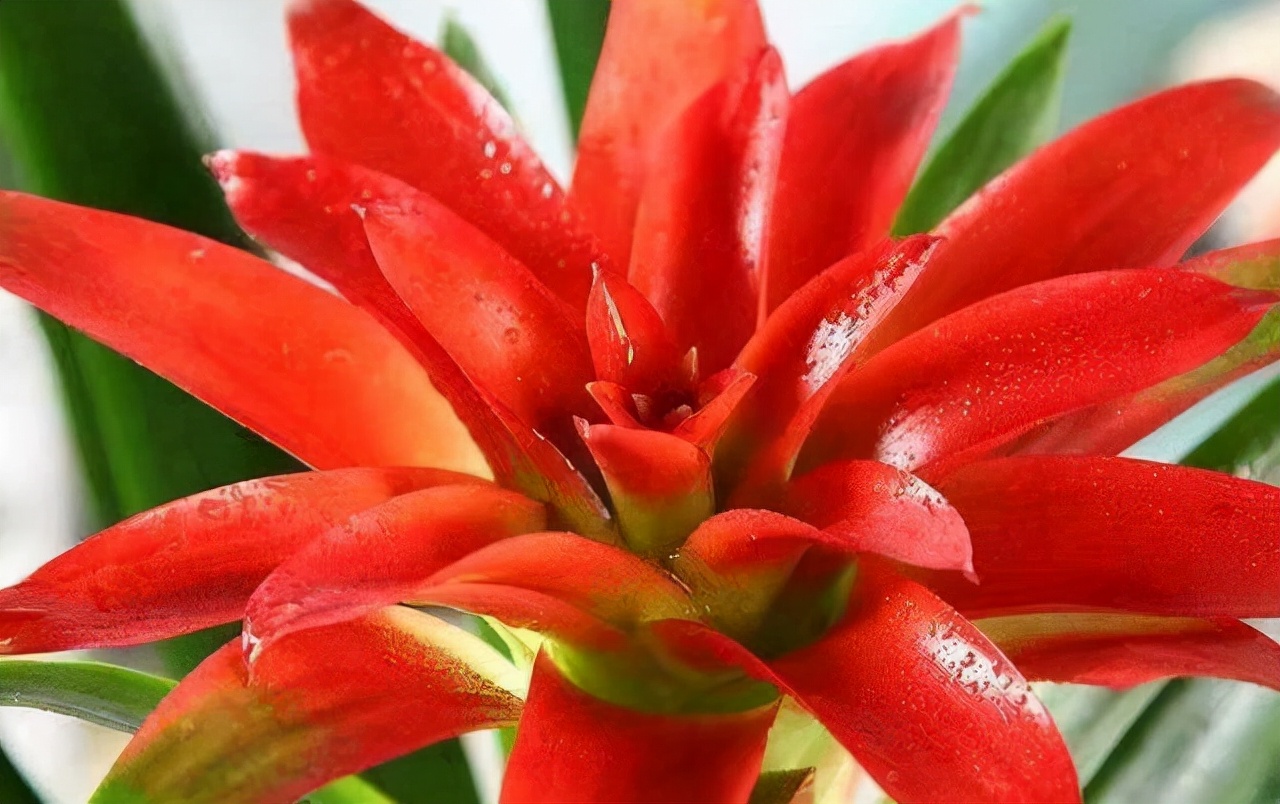 琚獥浜嗕竴娆″氨寰堥毦鎵惧洖鏉ヤ簡,琚獥鍚庤姳浜嗕竴骞磋蛋鍑烘潵