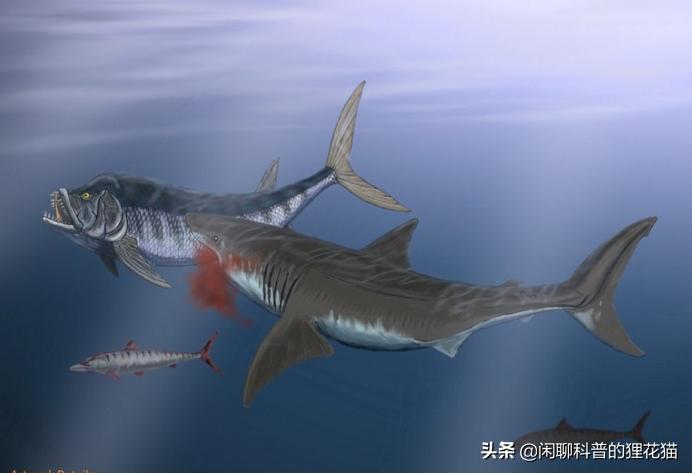 寒武纪三叶虫捕食者,十大最可怕的史前海洋巨兽
