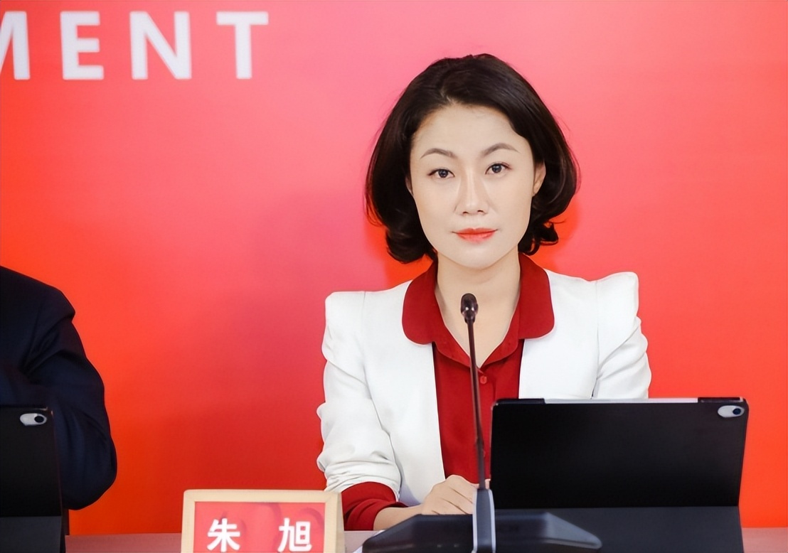 最贵女秘书朱旭,中国年薪最高的董秘朱旭