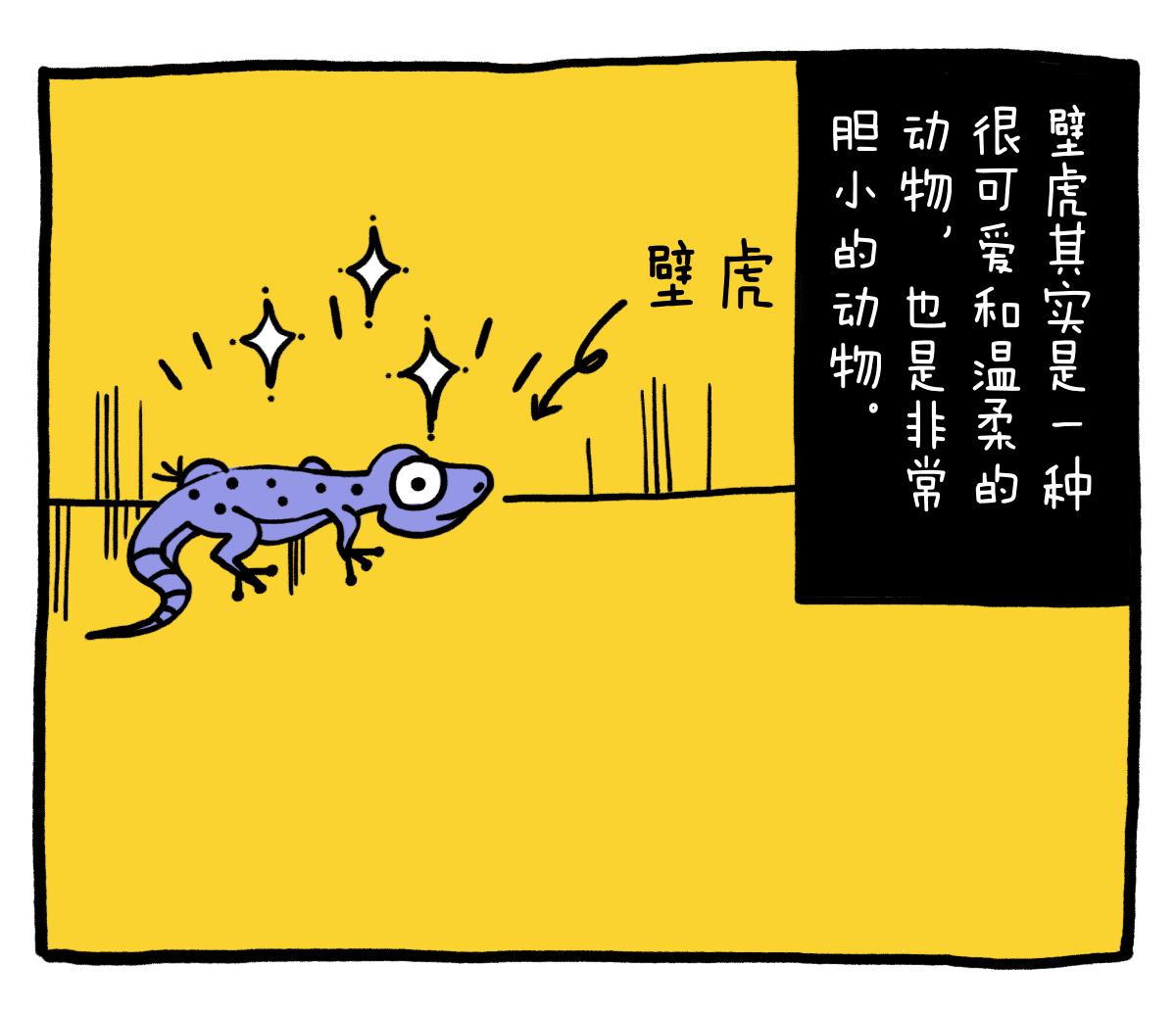 壁虎无毒,壁虎是不是无毒无害