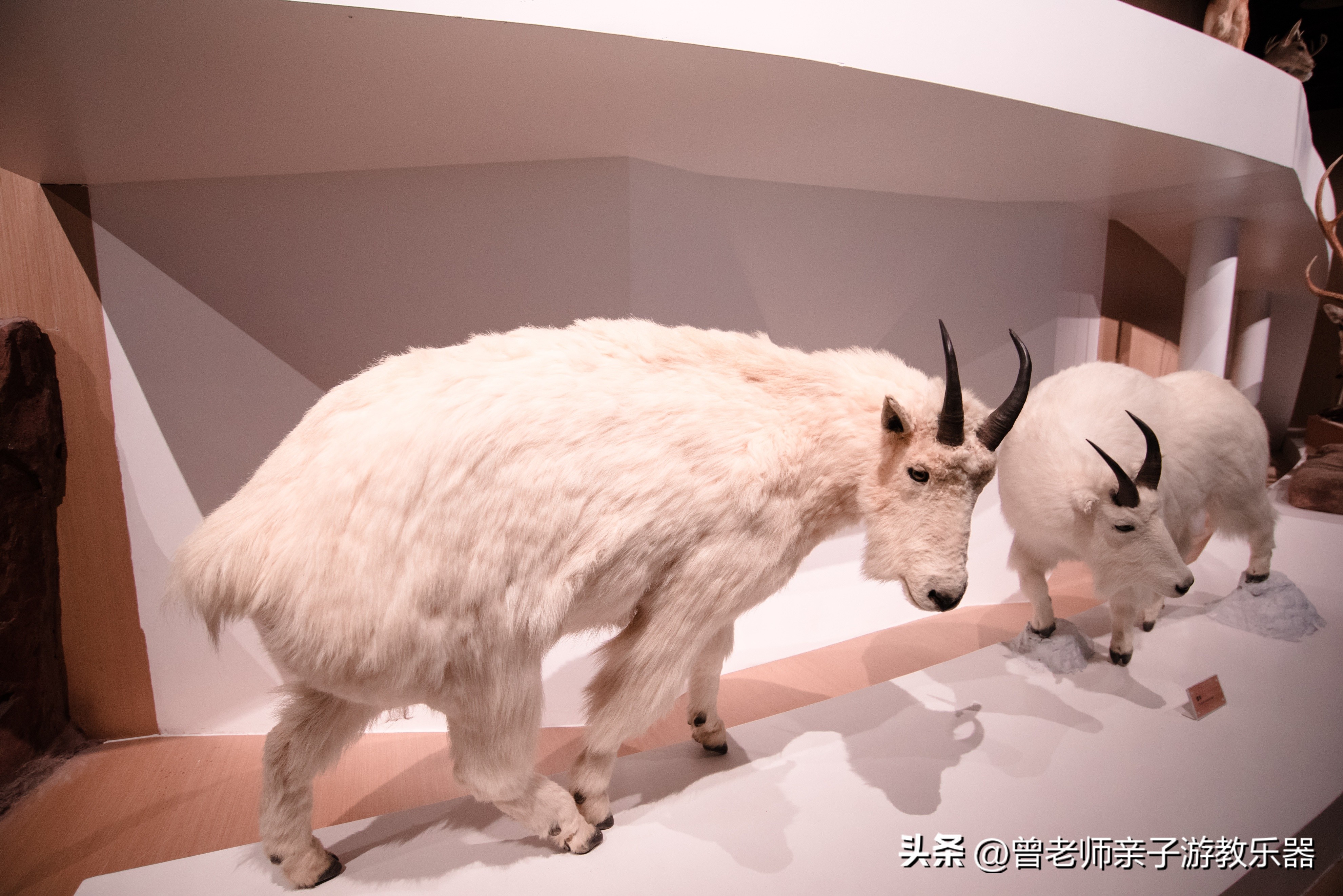 西安出发自驾亲子游,西安亲子游十大排名