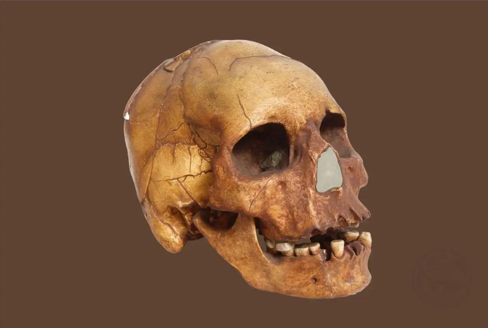 胆小莫入的人有多可怕,胆小勿进眼见不一定为实