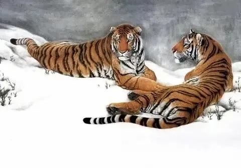 猛虎潜深山长啸自成风出自哪里,猛虎潜深山长啸自生风打一生肖