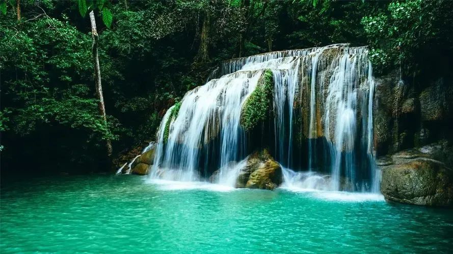 四年级期末作文必考我的乐园,我的乐园作文四年级400字范文菜地