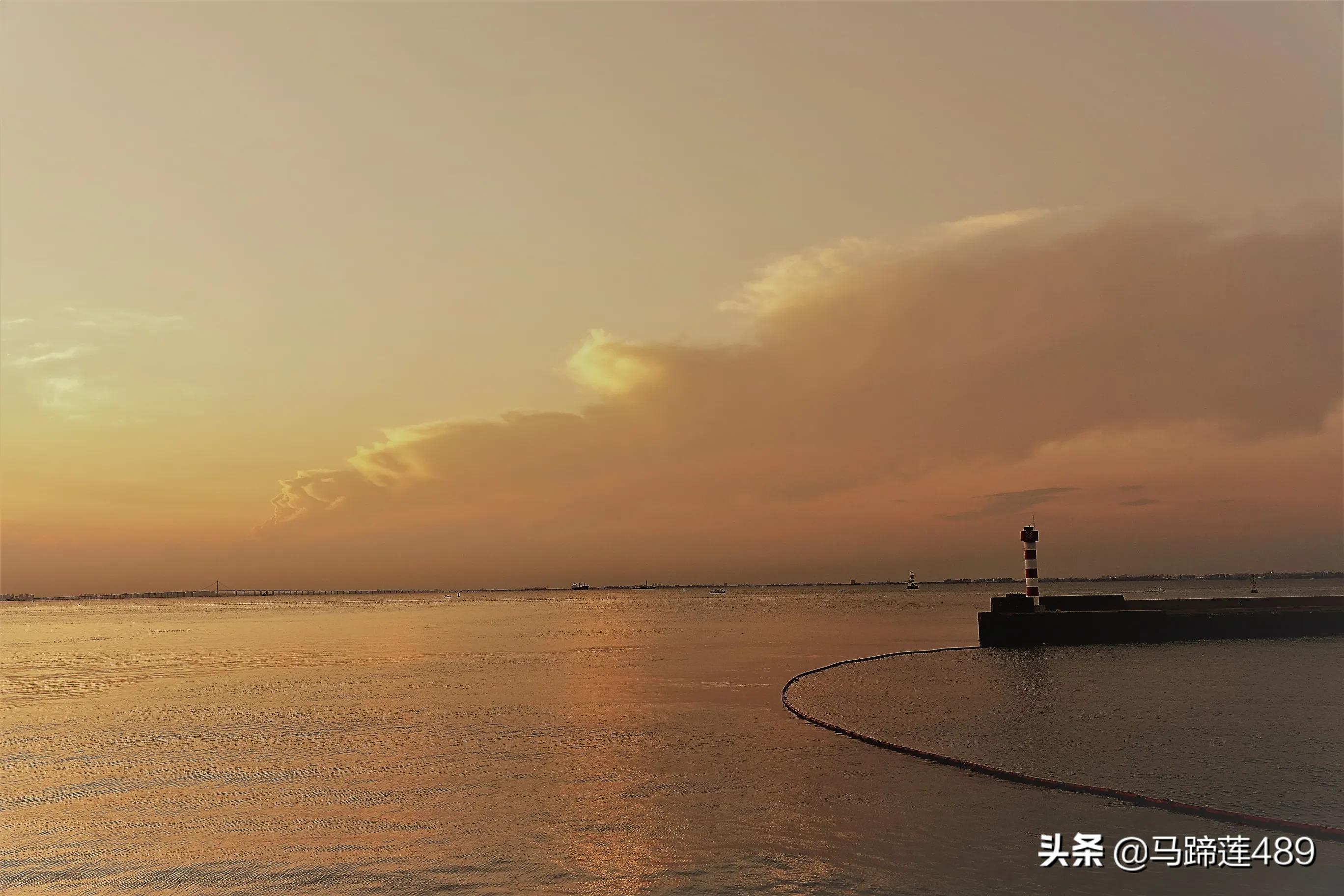 青岛金茂湾,青岛金茂湾地址