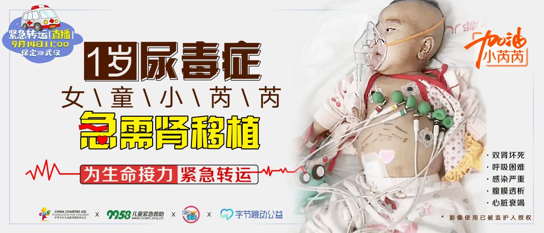 长江说法紧急儿童救援计划靠谱吗,长江说法紧急救助