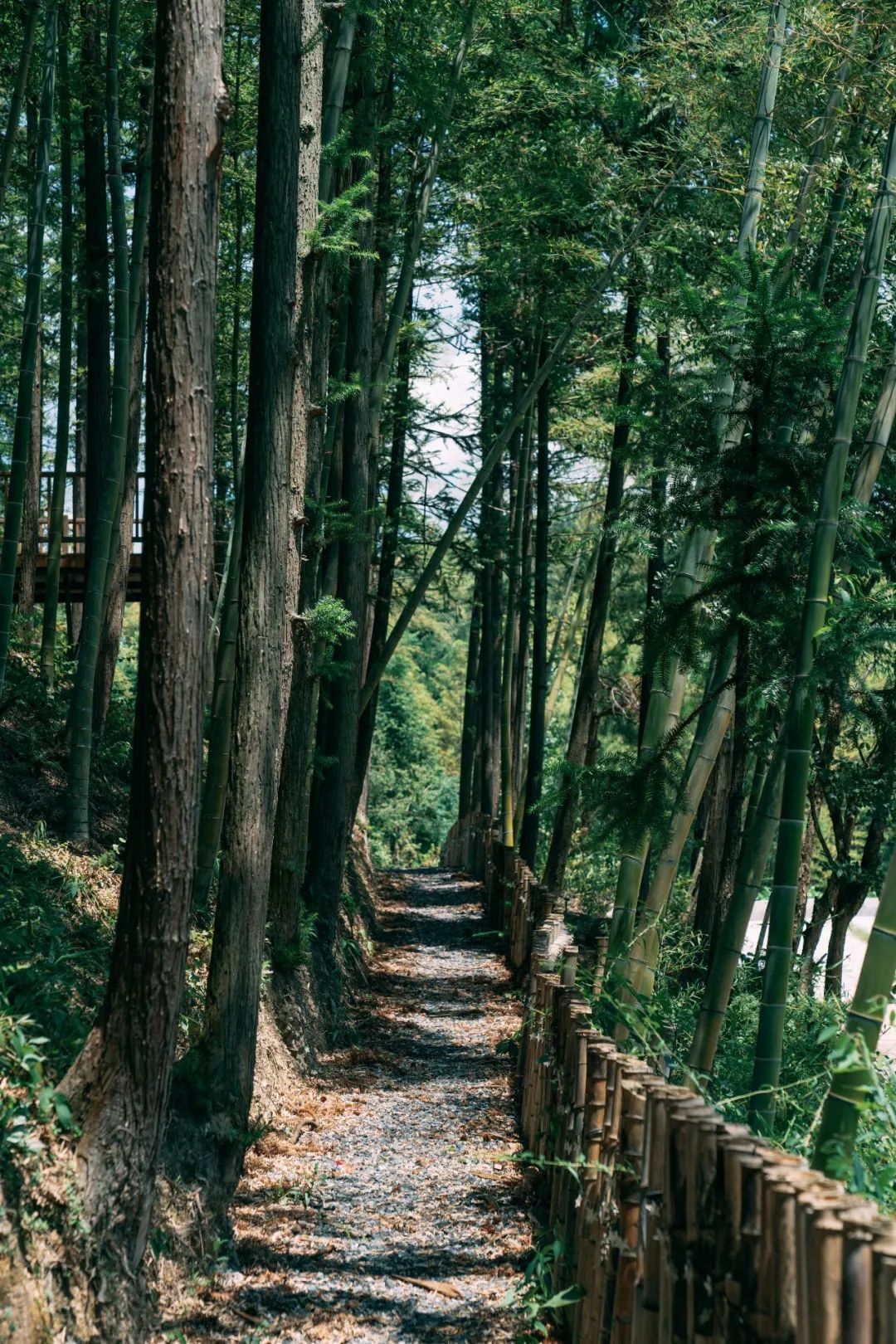 全羊宴烤乳猪、神秘矿坑、湿身派对…有趣不扎堆,假期支棱起来吧