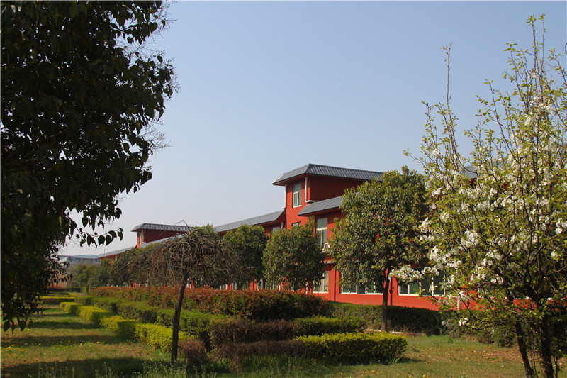 怎样掌握学习方法？怎样找到适合自己的学习方法？