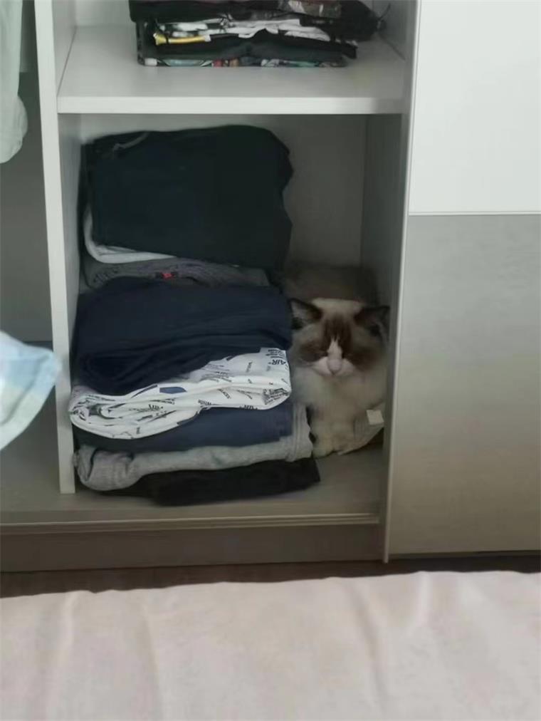 昌平家政开荒保洁,铭润家政服务有限公司