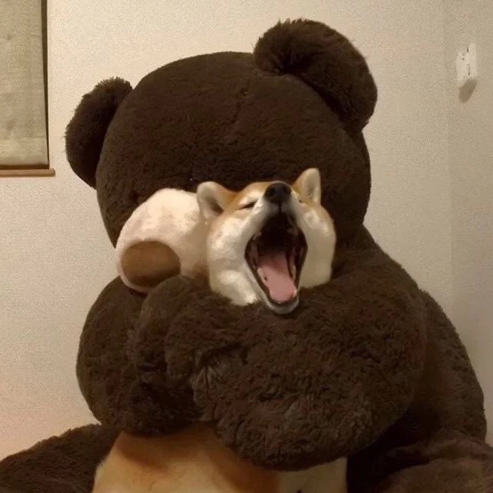 男生女生头像库,男生女生头像动漫合在一起的