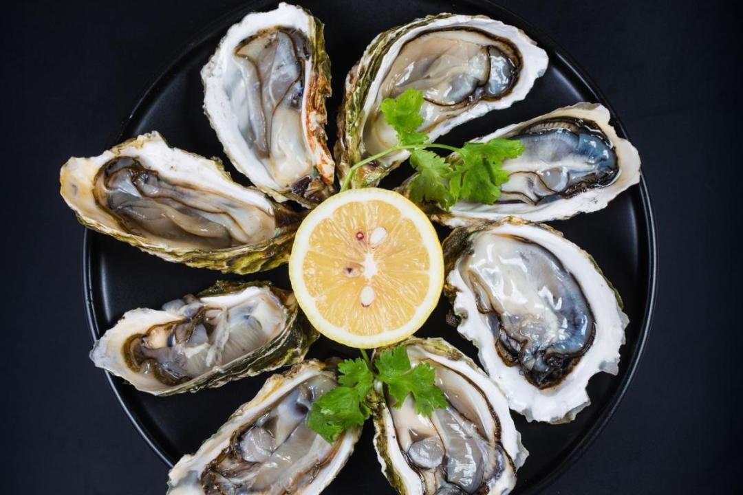 世界地图海鲜,澳大利亚最新海鲜图片