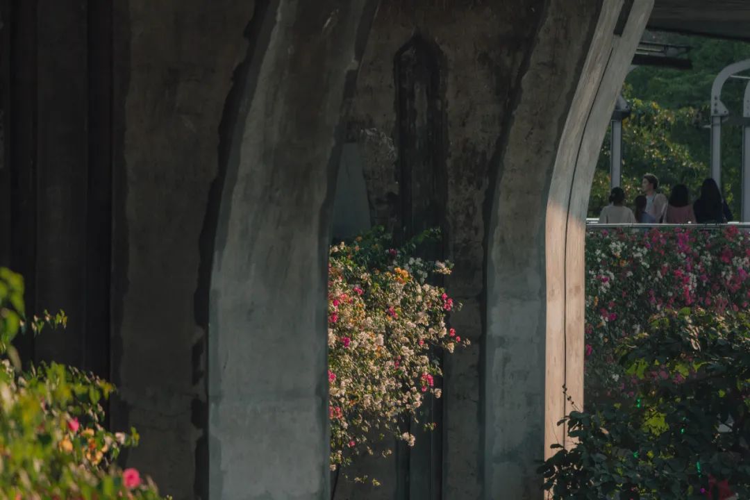 大数据推给想去泰国的朋友，万字长文玩转曼谷芭提雅