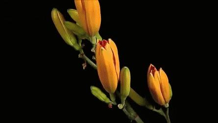 母亲节诗词精选,母亲节古诗词59字