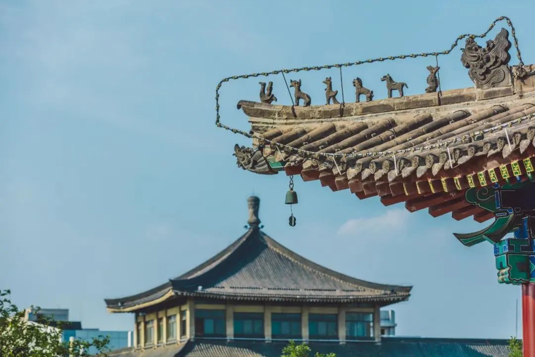 世界读书日与书结伴,世界读书日徜徉书境沐浴灵魂