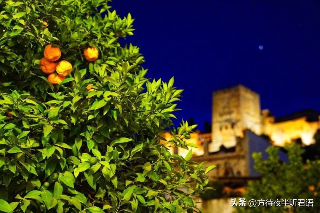 阿尔罕布拉宫精美之处,阿尔罕布拉宫的回忆绝美