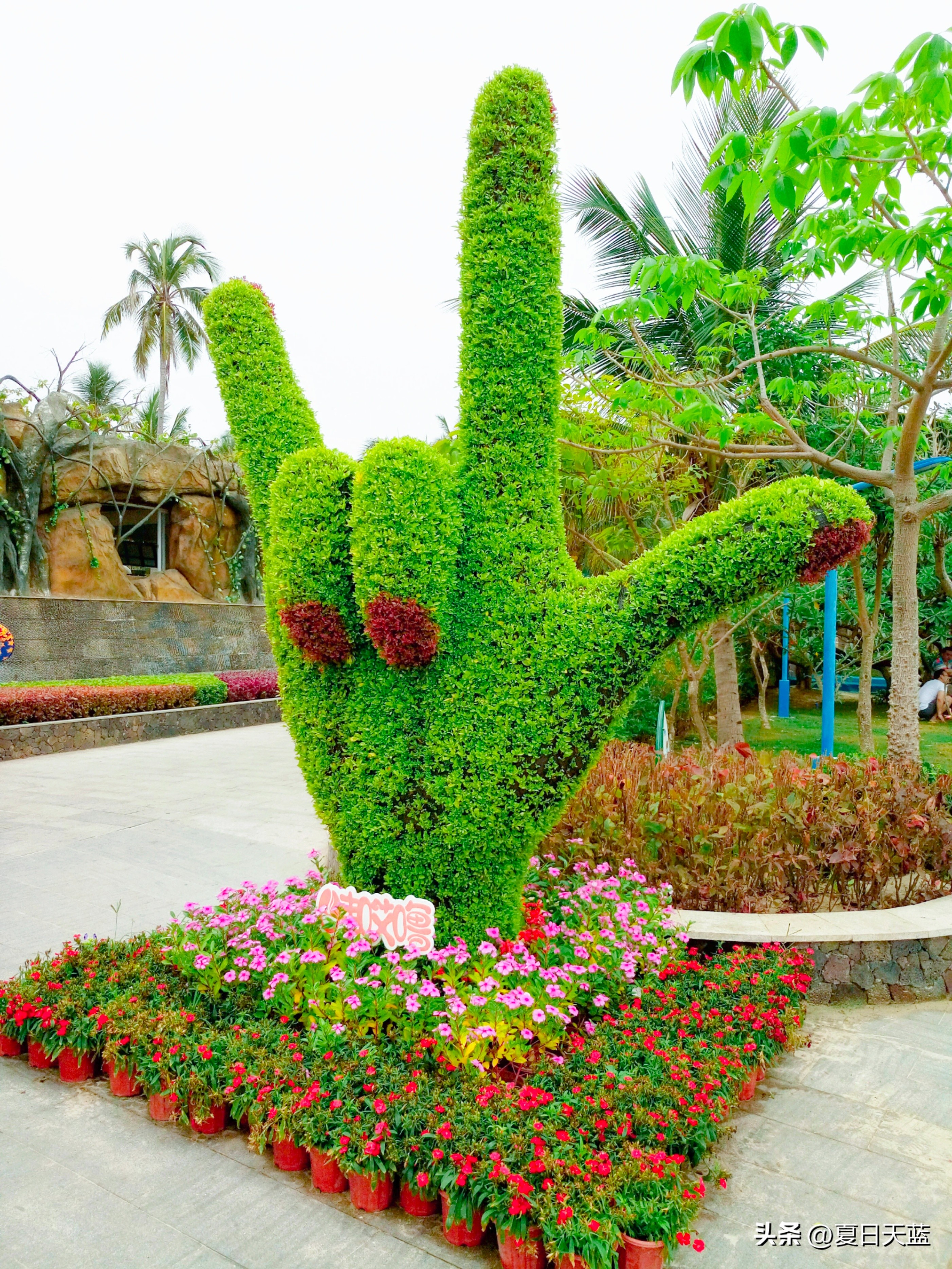 三亚度假最佳选择,三亚度假正确打开方式