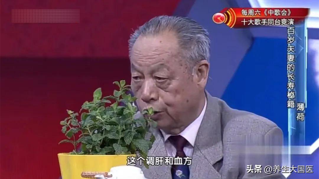 阳台种些它们，家中多了味“保健药”！助睡眠、理肺气、强身体，错过太可惜