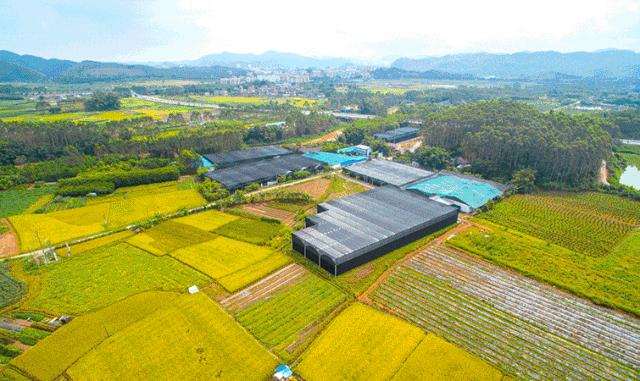 佛山去江门旅游景点推荐,佛山去江门旅游攻略