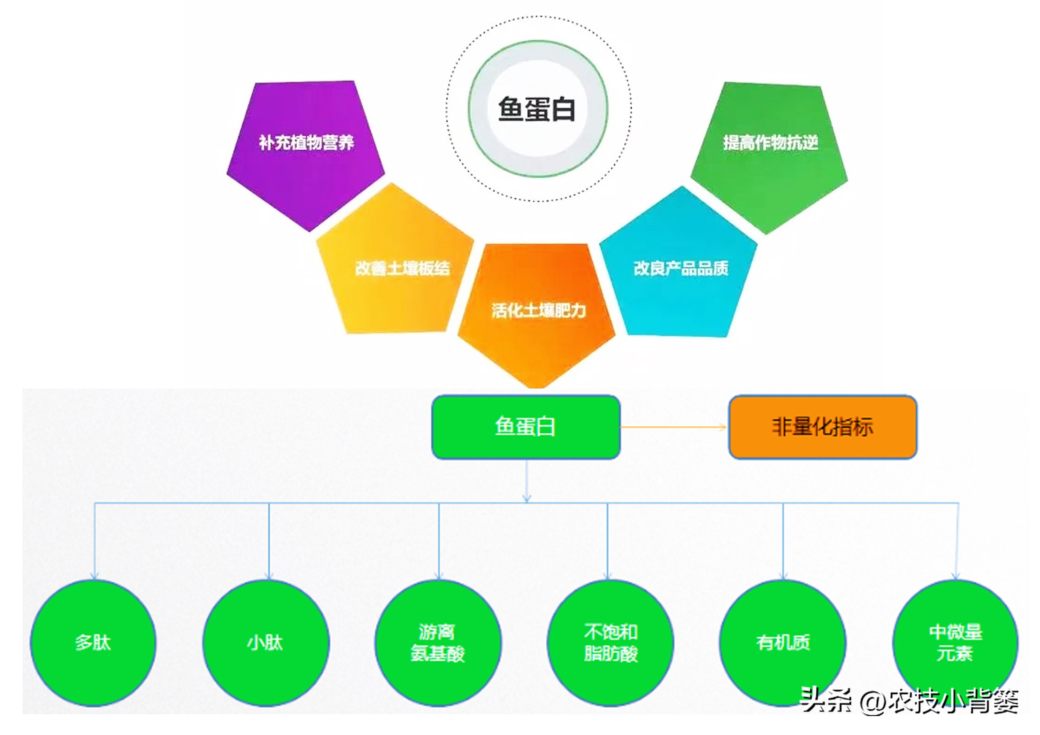 颜色不同的蛋白,各种规格鱼蛋白