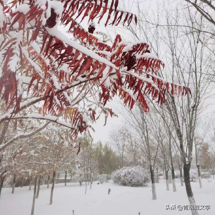 忆秦娥早春,忆秦娥冬日黄昏