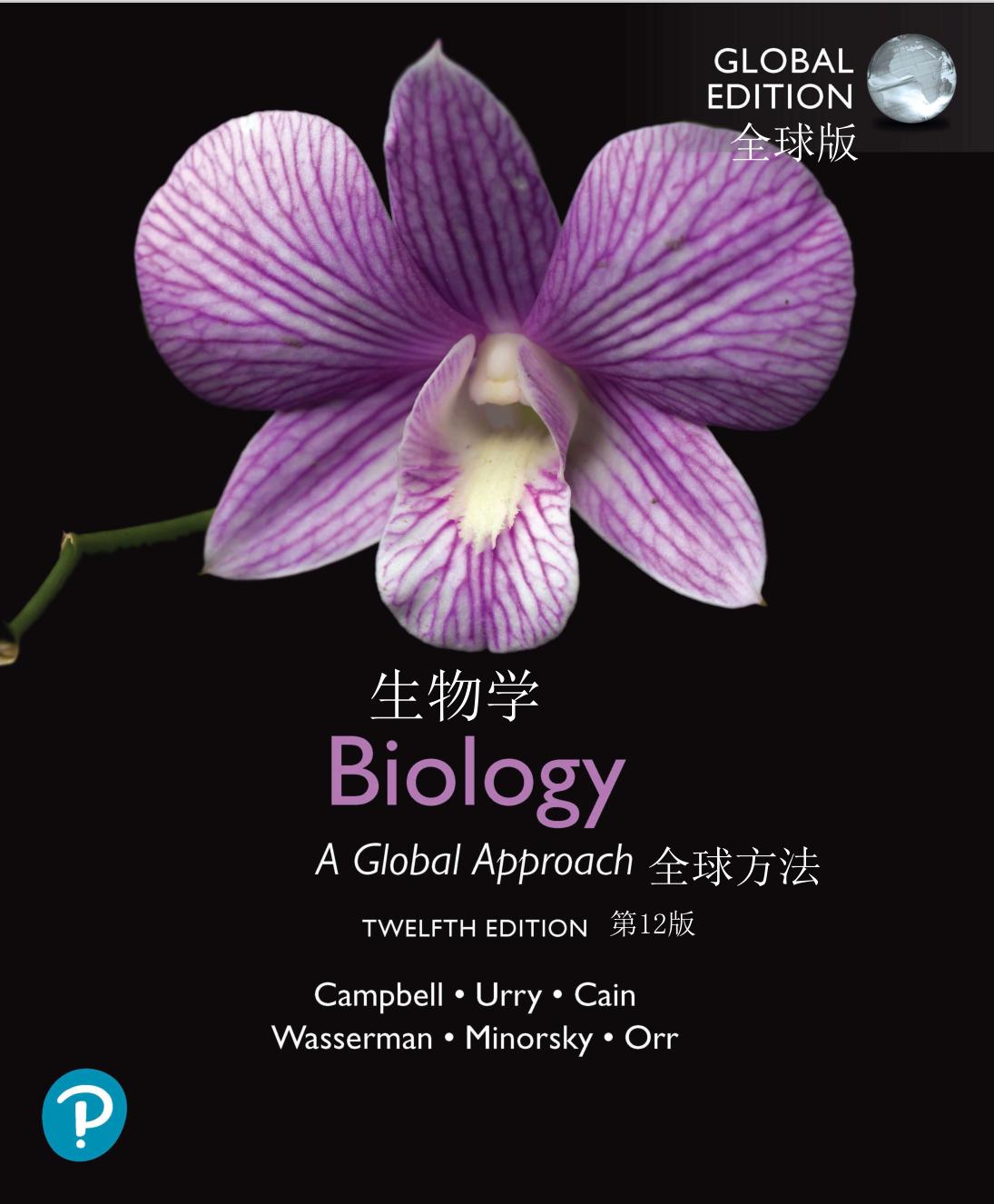 小学英语900单词1到6年级,小学英语900个常用词