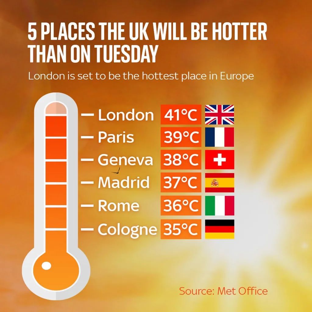 狗都不睡觉吗,狗都不在宿舍睡午觉