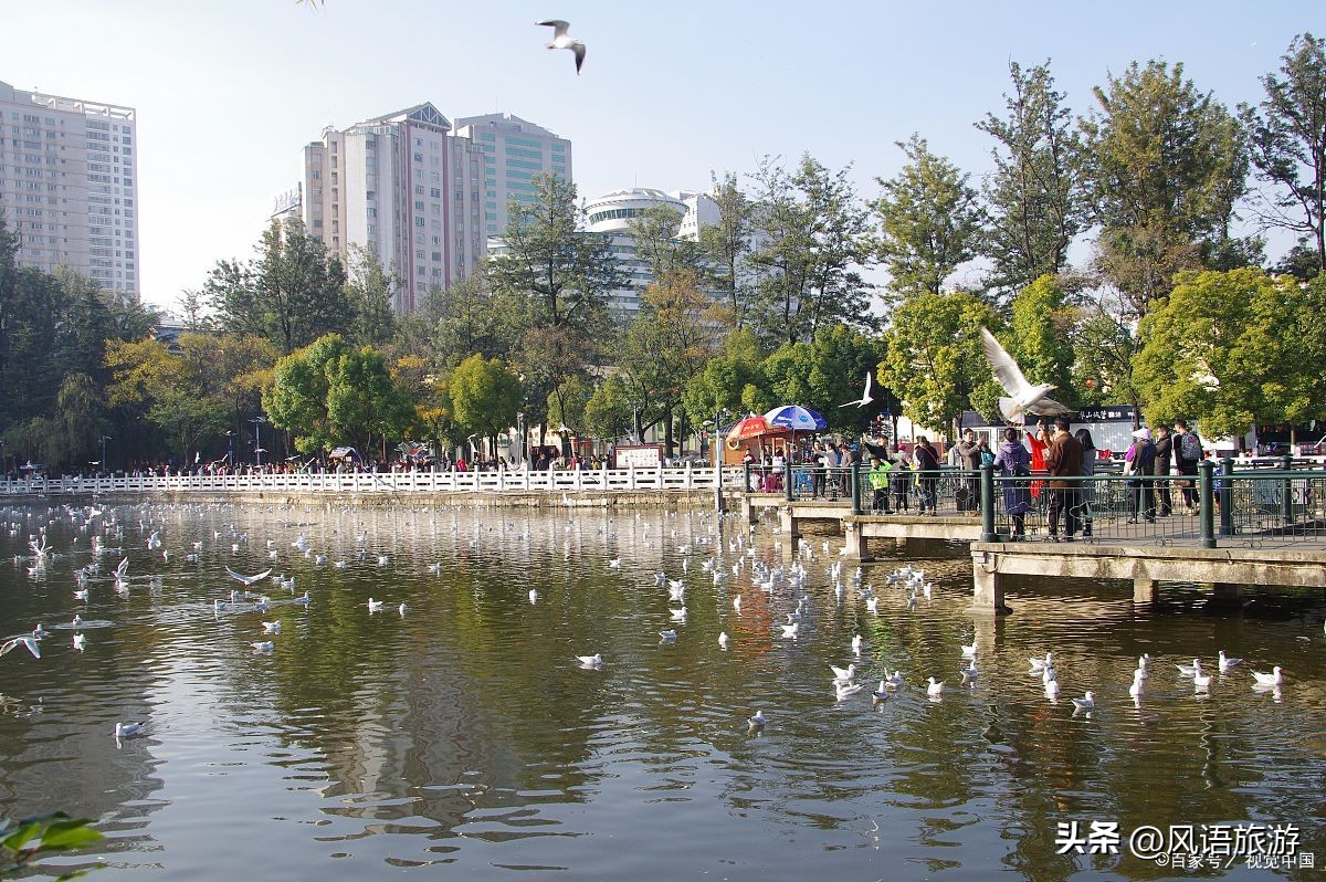 遇见春城花都昆明,春城昆明花都