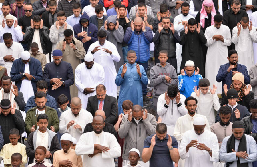 全世界穆斯林的人口变化,欧洲穆斯林人口增长为什么