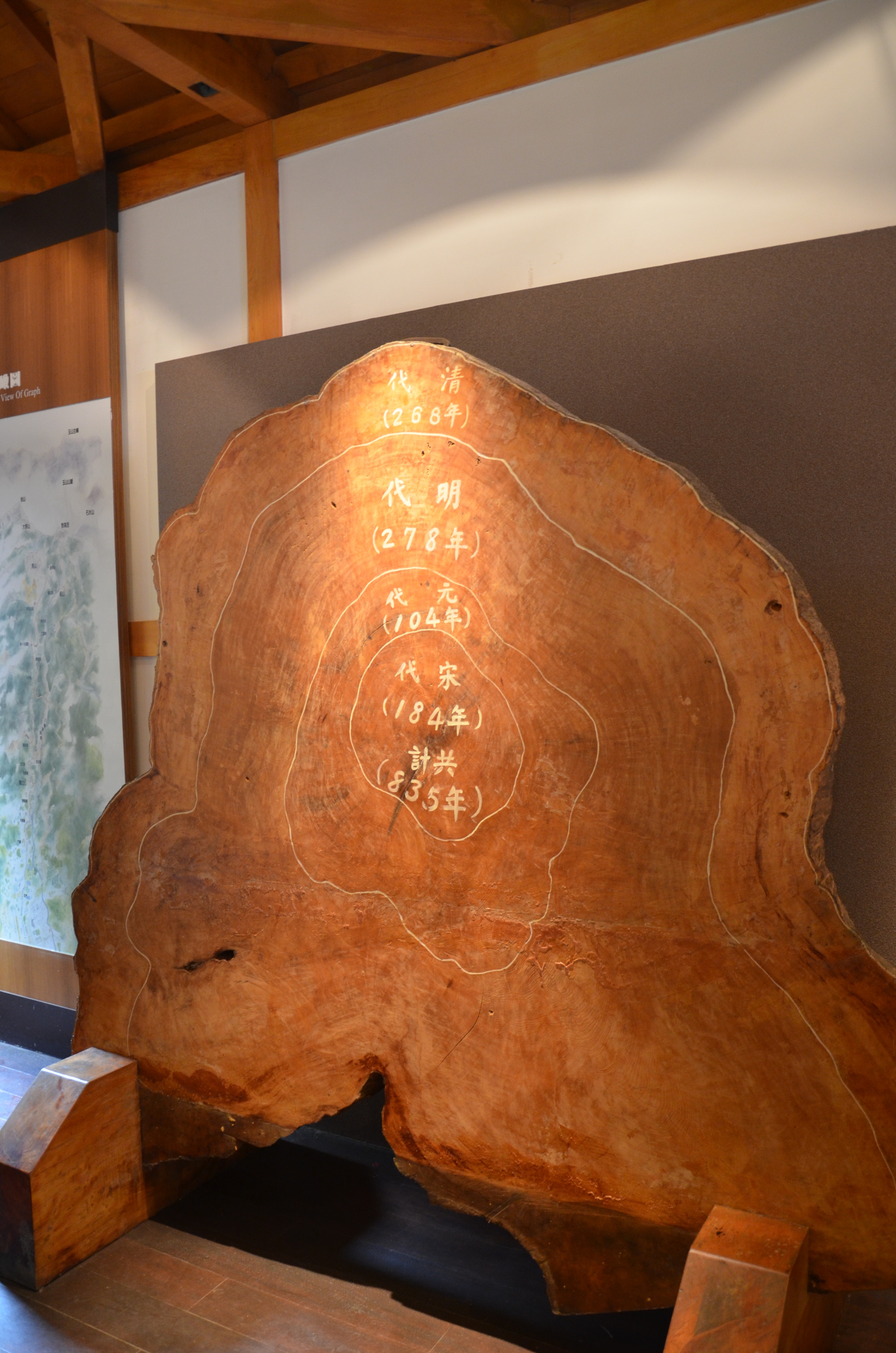 台湾阿里山古树,台湾阿里山景区