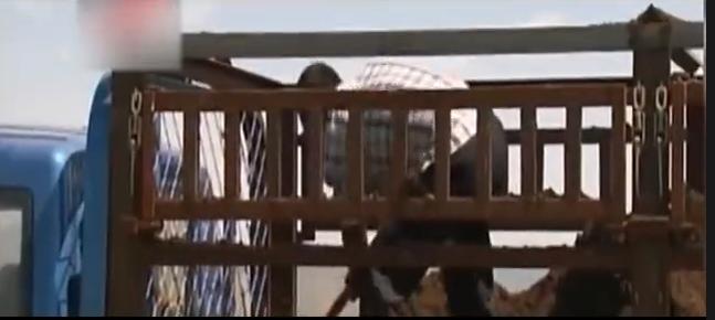 43岁男人负债2000万,内蒙古男子欠债5000万