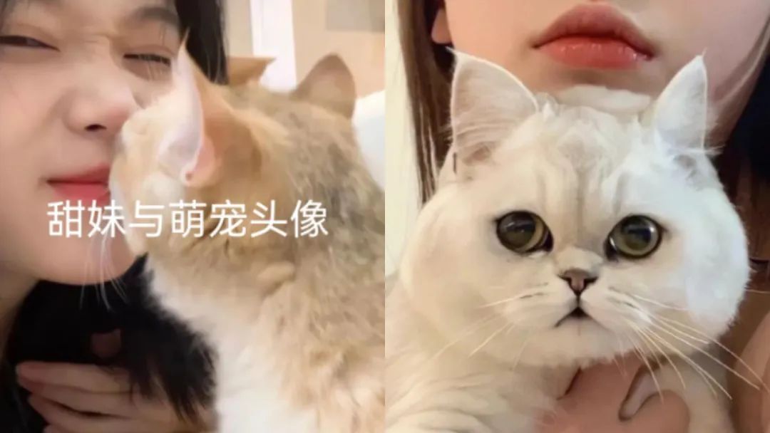 刘亦菲古装头像图片大全,刘亦菲微信头像唯美图片