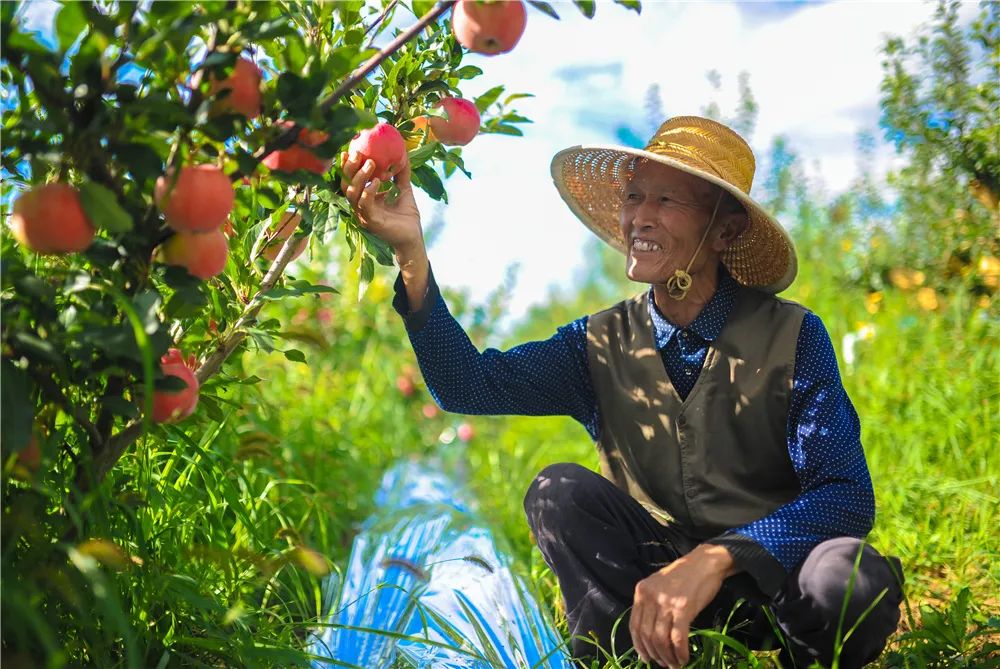 大美崇信，诚信之城欢迎您！